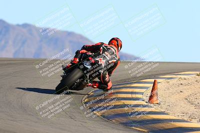 media/Jan-09-2022-SoCal Trackdays (Sun) [[2b1fec8404]]/Turn 12 Backside (130pm)/